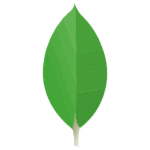 MongoDB